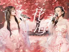 【Hi-Res无损】一只白羊《夜不能寐》绝美戏腔流行歌曲｜歌词纯享版「夜不能寐为谁 辗转反侧为谁 莫