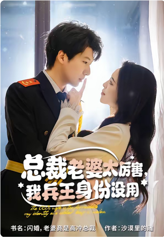 总裁老婆太厉害,我兵王身份没用