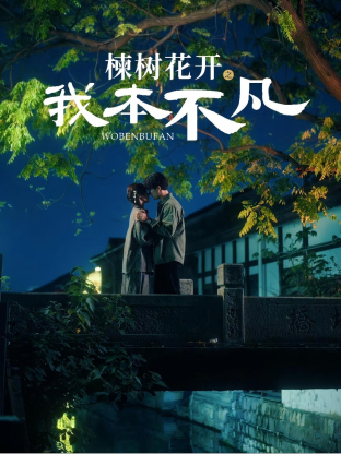 楝树花开之我本不凡