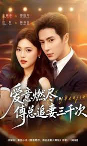爱意燃尽，傅总追妻三千次