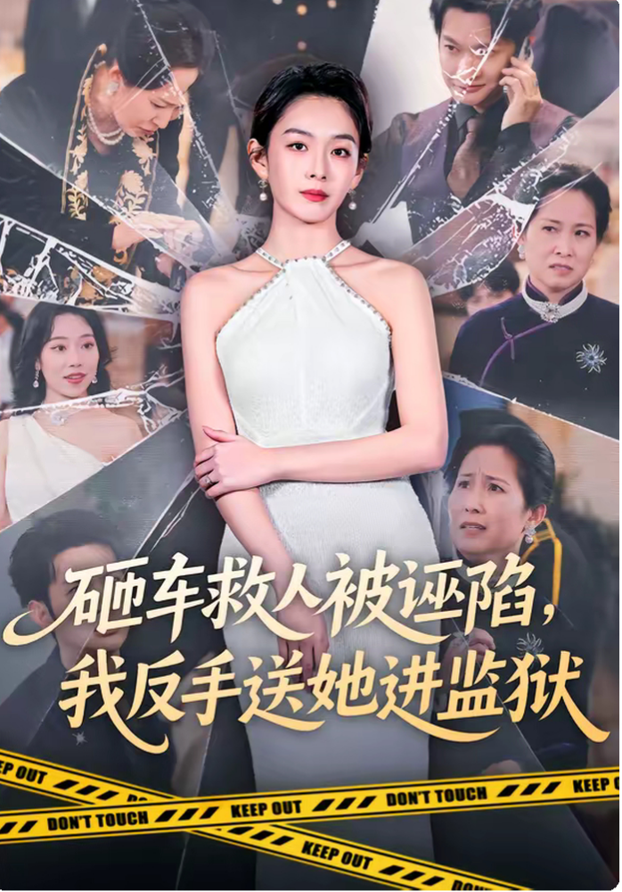 砸车救人被诬陷，我反手送她进监狱