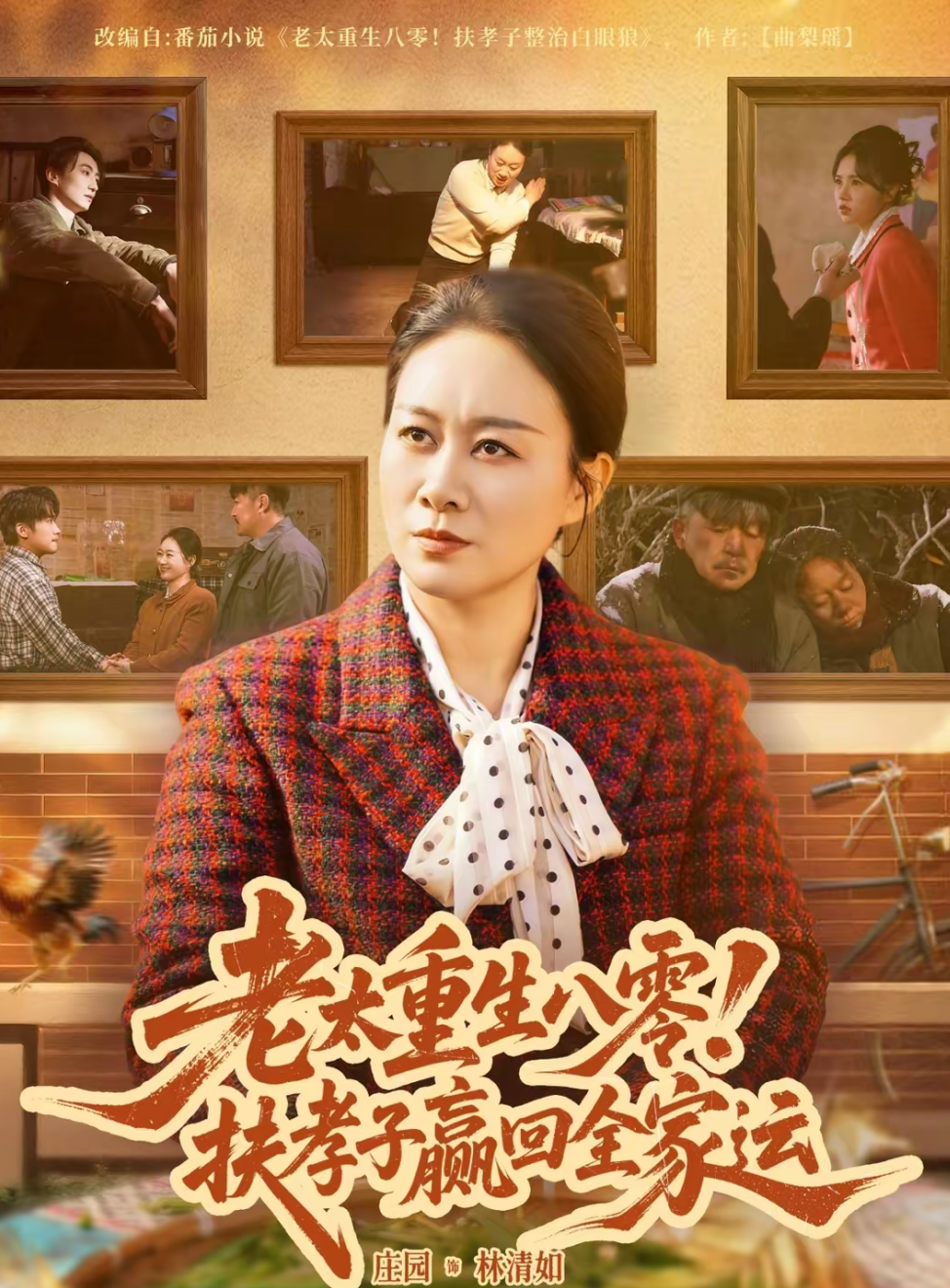 老太重生八零！扶孝子赢回全家运