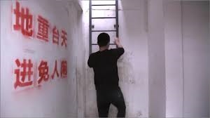 天网：夺命“钱”途