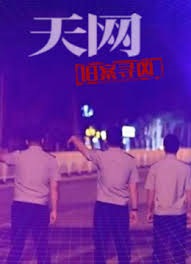 天网：旧案寻凶