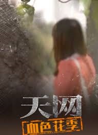天网：血色花季