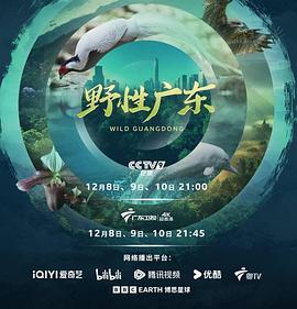 野性广东