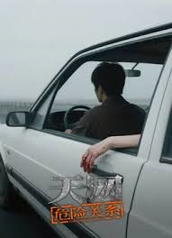 天网：危险关系