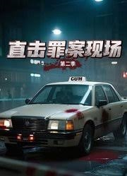 直击罪案现场第二季