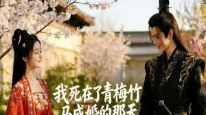 我死在了青梅竹马成婚的那天