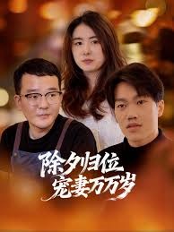 除夕归位宠妻万万岁