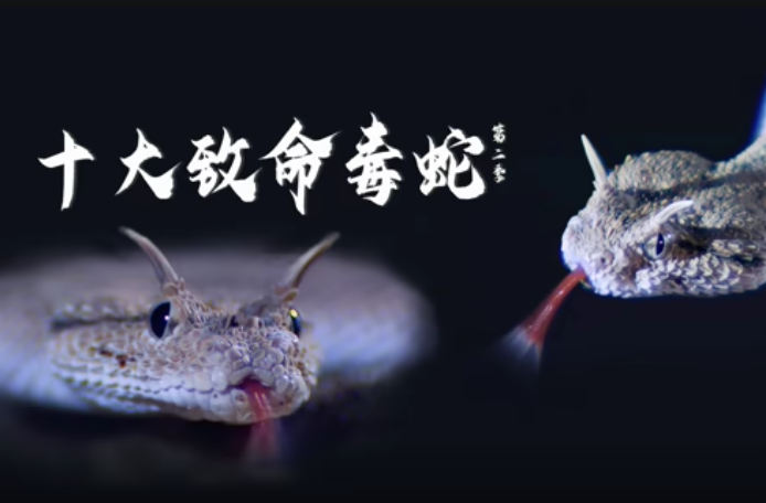 十大致命毒蛇第二季（配音版）