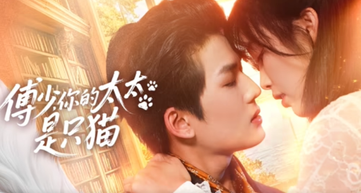 傅少，你的太太是只猫