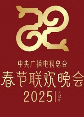 2025春节晚会