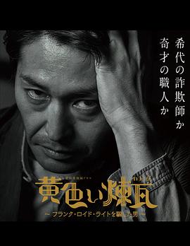 黄砖～骗过弗兰克·劳埃德·赖特的男人～封面图
