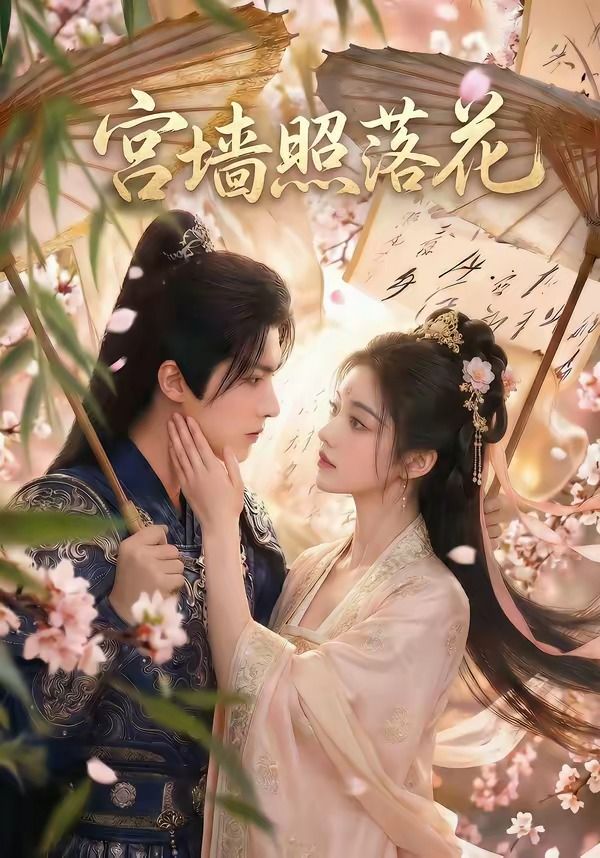 宫墙照落花封面图