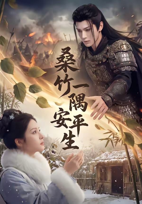 桑竹一隅安平生封面图