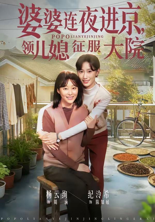 婆婆连夜进京，领儿媳征服大院封面图