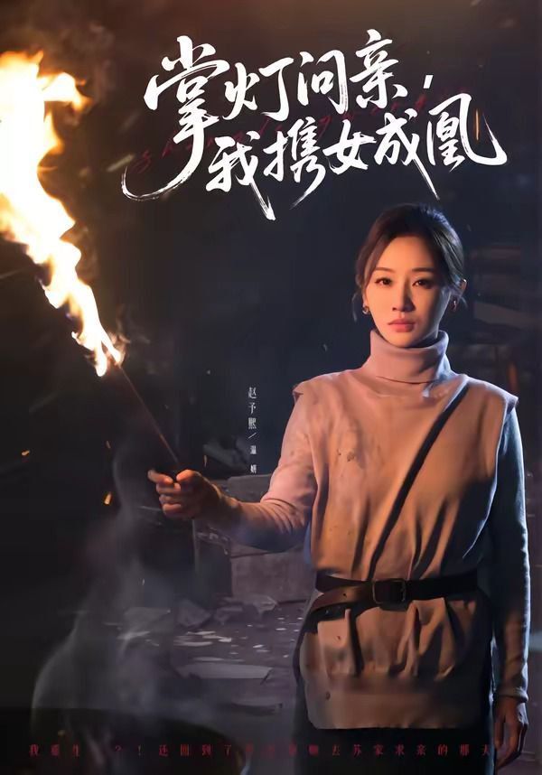 掌灯问亲，我携女成凰封面图