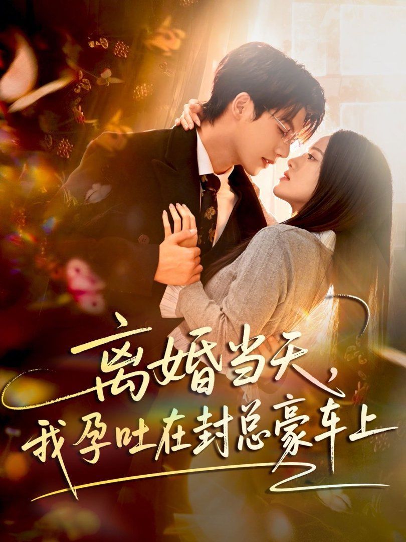 离婚当天，我孕吐在封总豪车上封面图