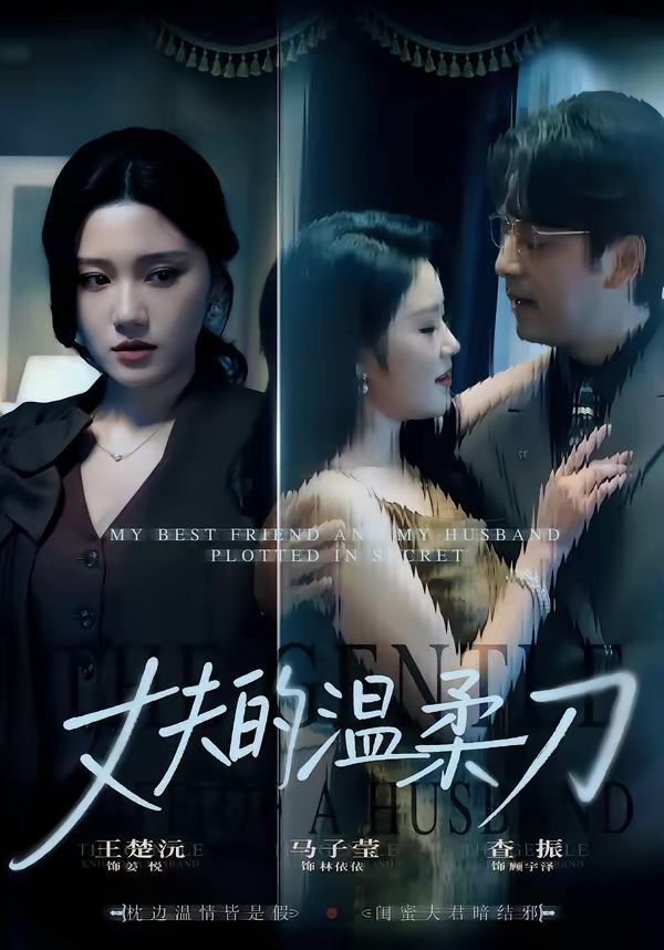 丈夫的温柔刀封面图