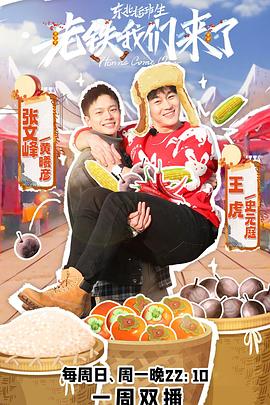 东北插班生-老铁我们来了封面图