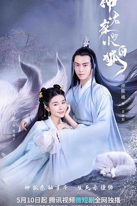 小白狐追夫记封面图