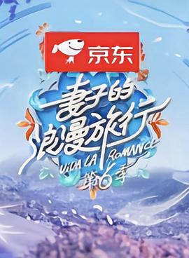 妻子的浪漫旅行6 PDvlog封面图