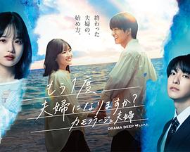要再做一次夫妇吗？～伪装夫妇～封面图
