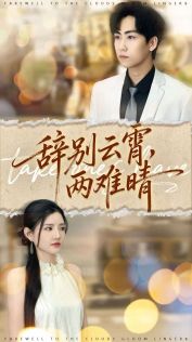 辞别云霄两难晴封面图
