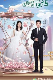 这就是生活网络版