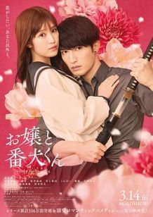 大小姐和看门犬