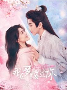 我在梦里爱过你