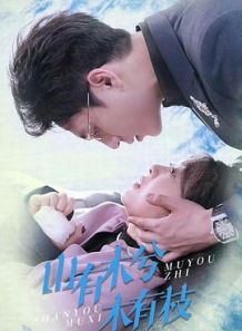 山有木兮木有枝