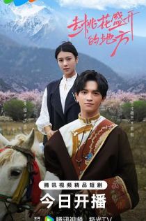 去桃花盛开的地方