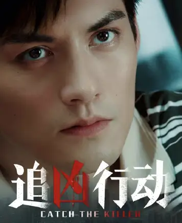 追凶行动