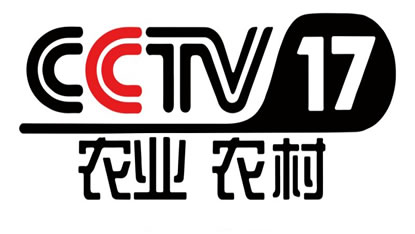 CCTV-17